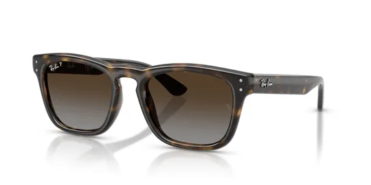 Ray-Ban 0RB 2238 710/T5 52 Unisex Güneş Gözlüğü