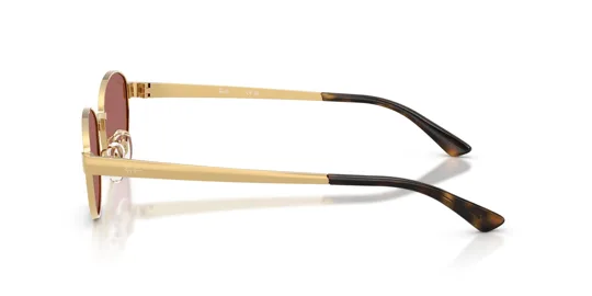 Ray-Ban 0RB 3774D 001/69 55 Kadın Güneş Gözlüğü