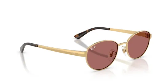 Ray-Ban 0RB 3774D 001/69 55 Kadın Güneş Gözlüğü
