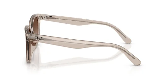 Ray-Ban 0RB 2243D 6827/13 55 Kadın Güneş Gözlüğü